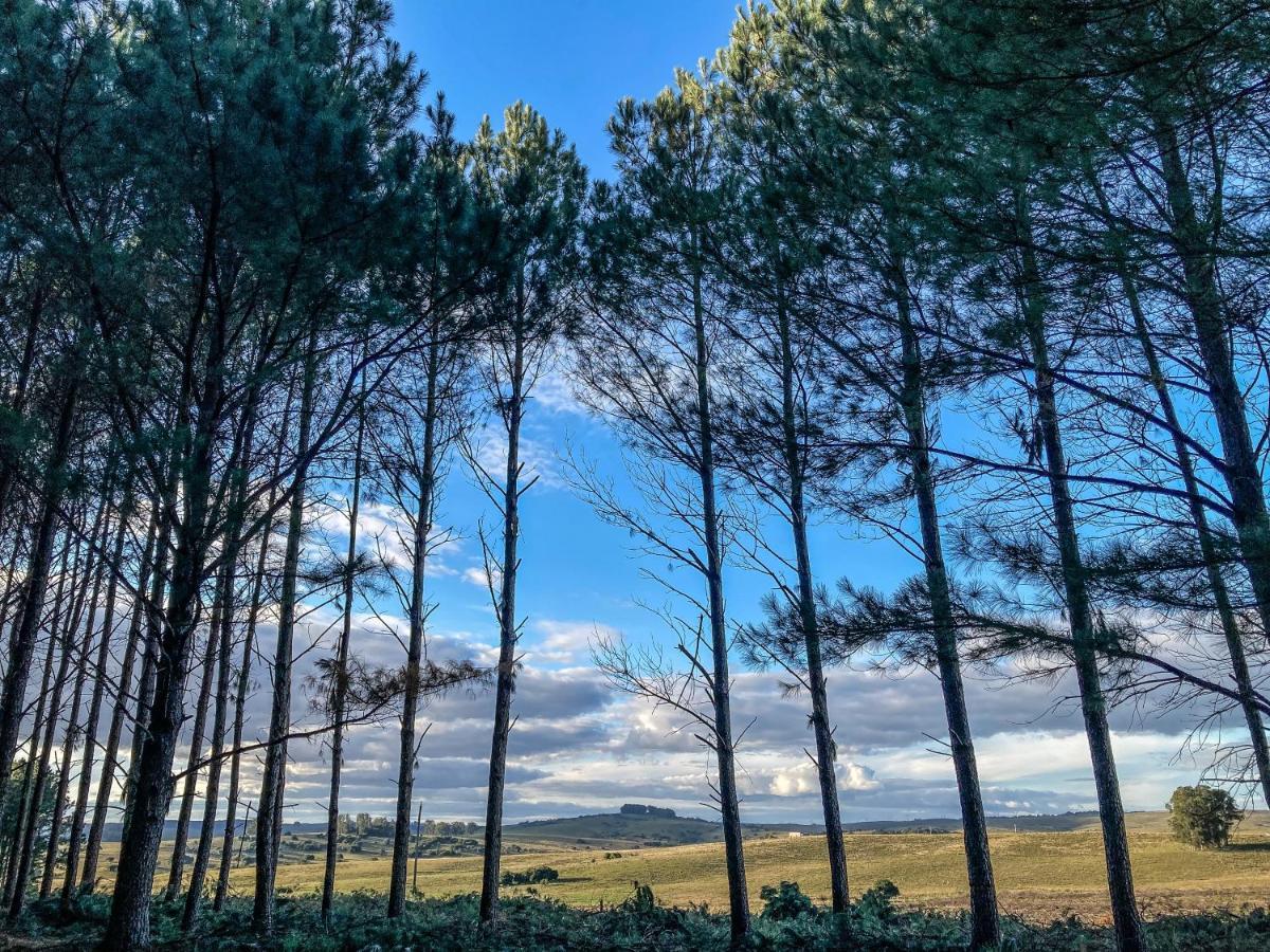 Quebrada de los CuervosPinos De La Quebrada别墅 外观 照片