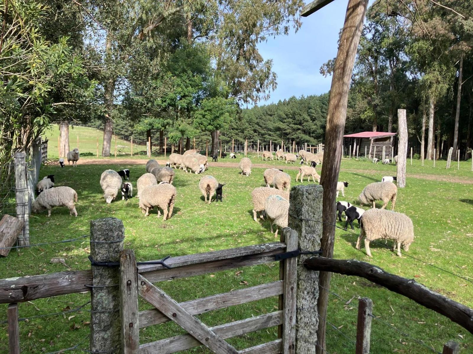 Quebrada de los CuervosPinos De La Quebrada别墅 外观 照片